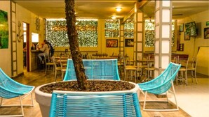 Un restaurante con un árbol central, sillas azules y una distribución informal para comer.