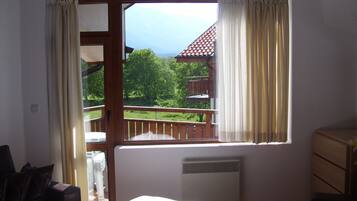 Basic Studio, 1 Bedroom, Non Smoking, Mountain View | Living area | TV, fireplace