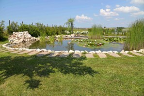 A serene garden with a pond, surrounded by rocks and lush greenery. - La Collina delle Fonti (Aprilia)