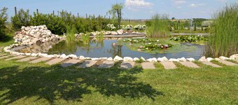 La Collina delle Fonti