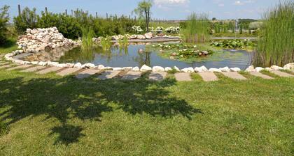 La Collina delle Fonti