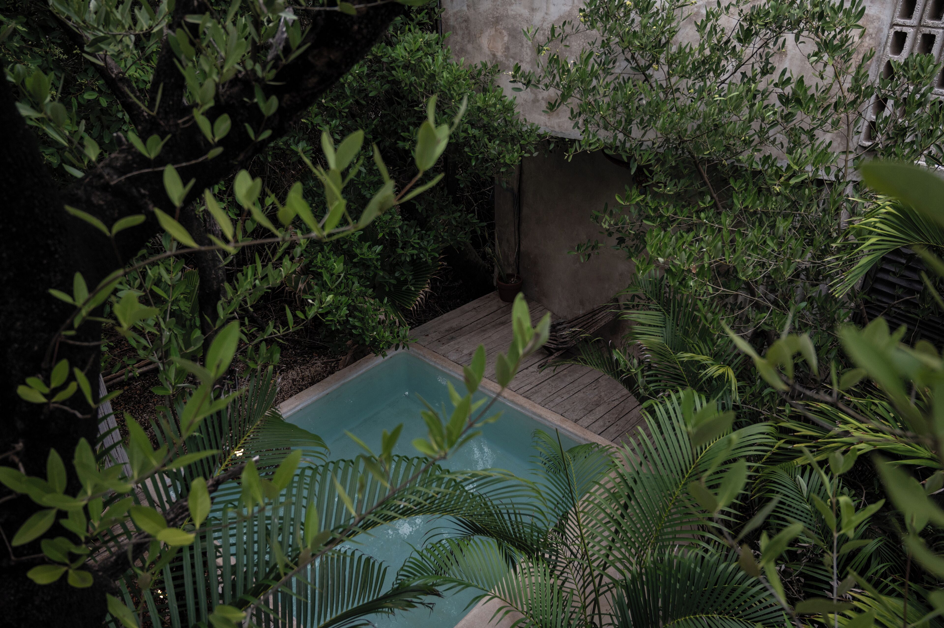 A small, rectangular pool surrounded by dense foliage and a wooden deck.