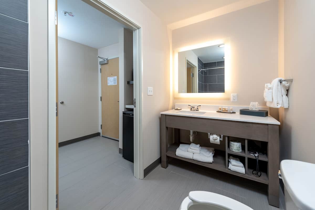 combined shower/bathtub, free toiletries, hair dryer, towels