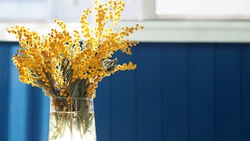 Un florero de vidrio transparente con flores amarillas sobre una superficie blanca, frente a una pared azul.