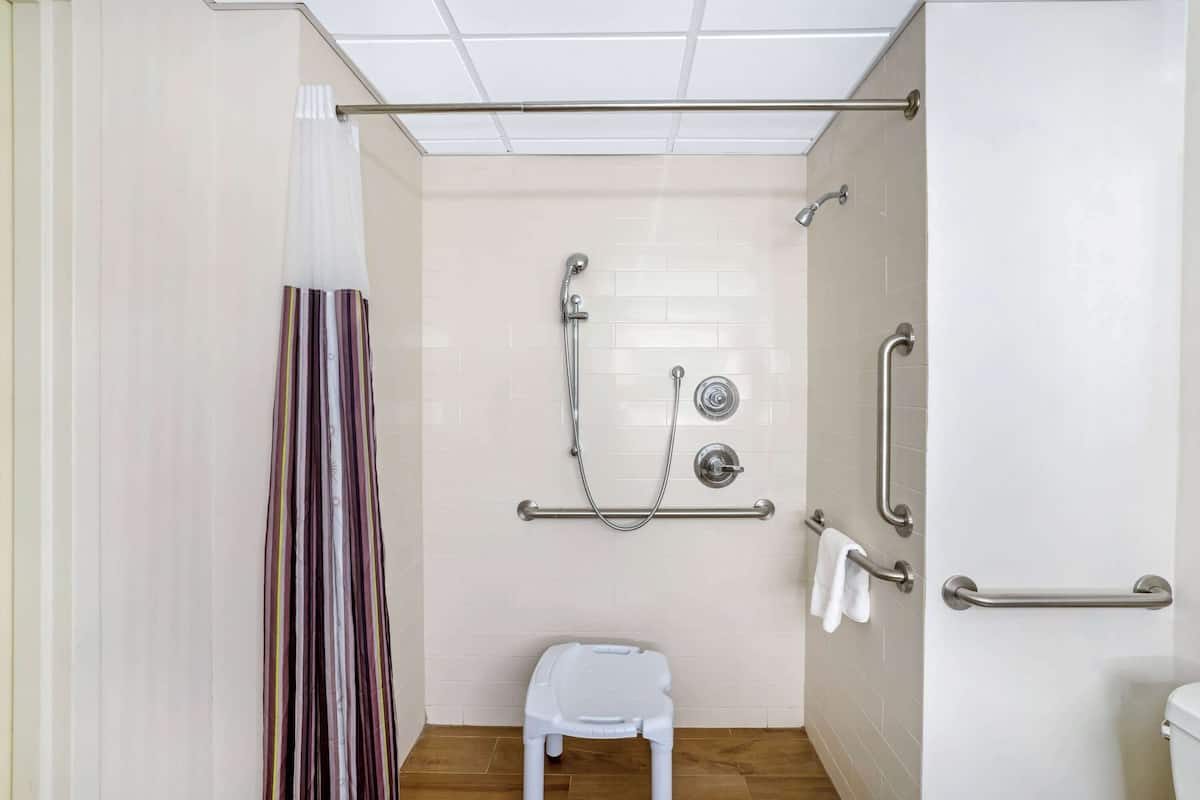 combined shower/bathtub, free toiletries, hair dryer, towels