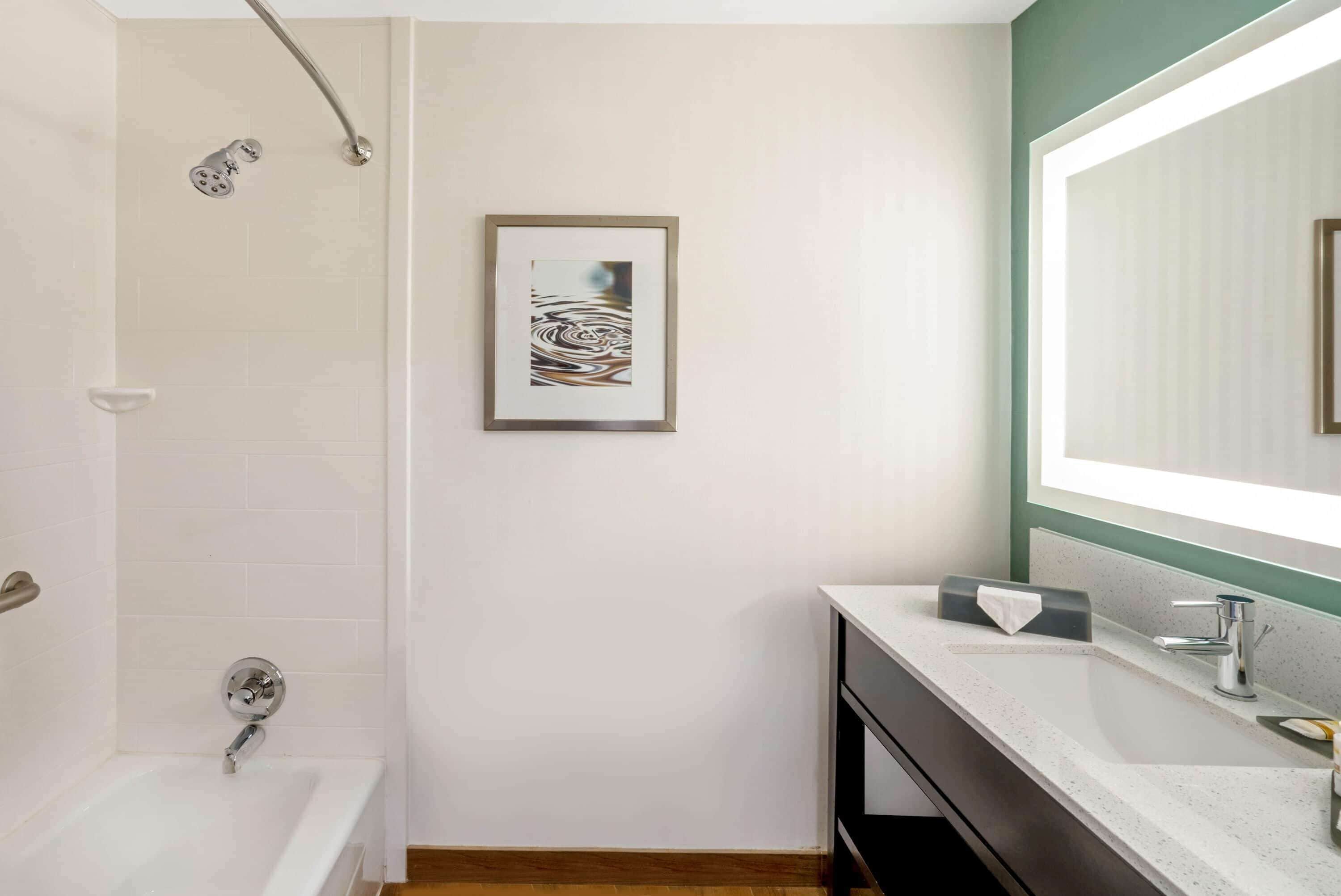 combined shower/bathtub, free toiletries, hair dryer, towels