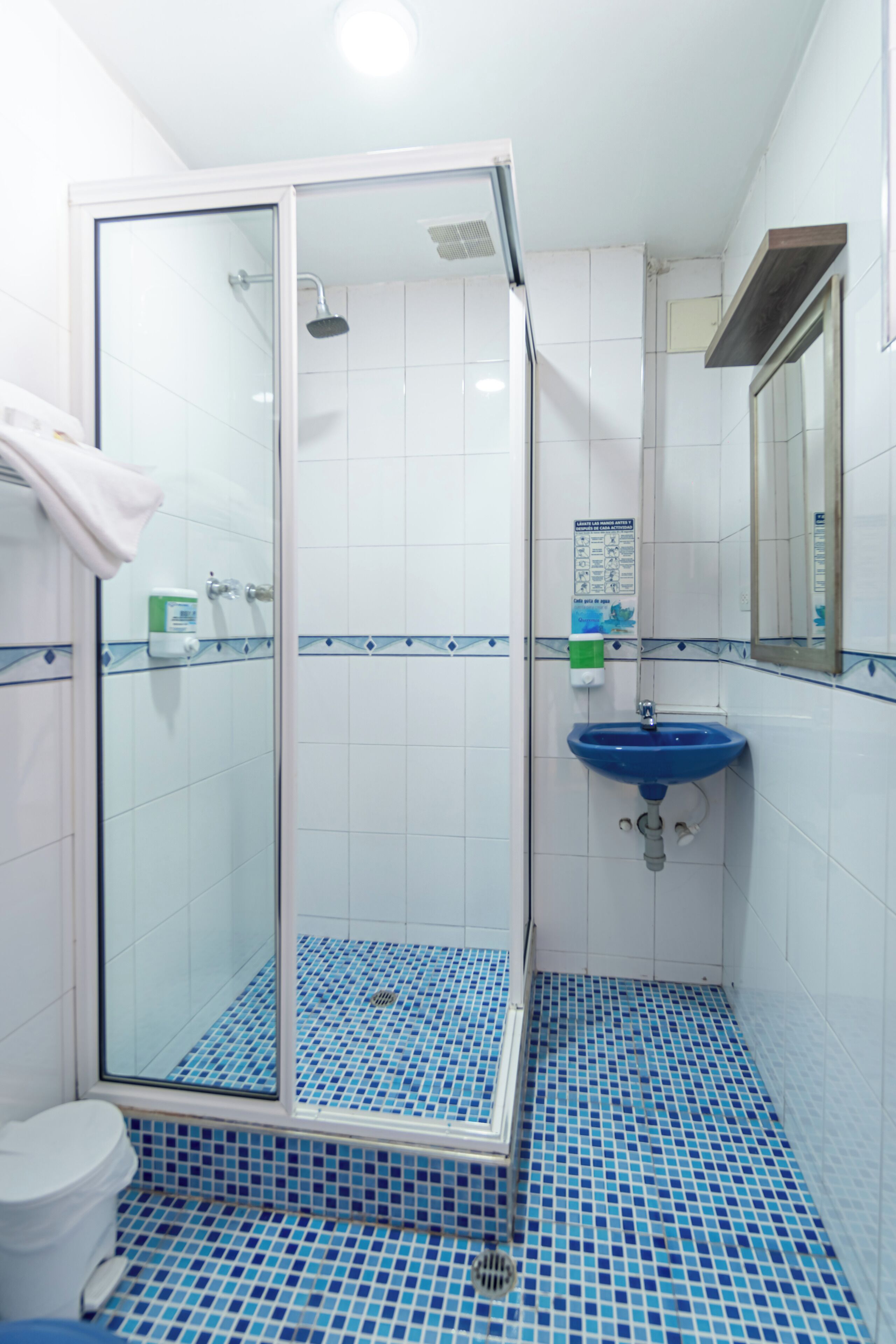 Combined shower/bathtub, jetted bath, free toiletries, towels