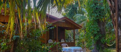 Vista desde la habitación