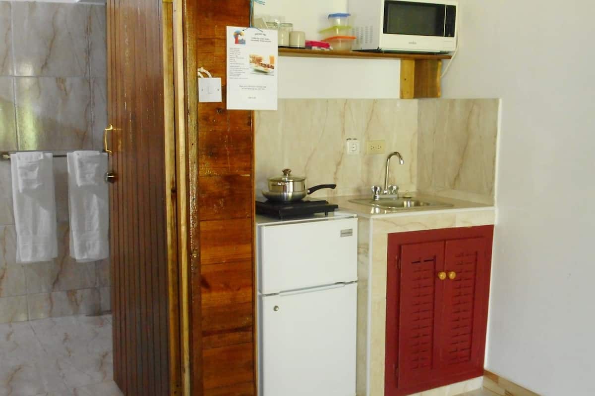 Deluxe Studio Suite, 1 Katil Kelamin (Double), Accessible, Kitchenette | Dapur kecil peribadi | Peti sejuk/penyejuk beku saiz penuh, ketuhar gelombang mikro