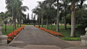 A pathway flanked by palm trees and red flowers, leading to a building with a white facade.