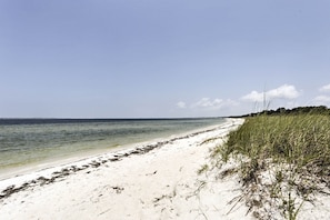Playa en los alrededores