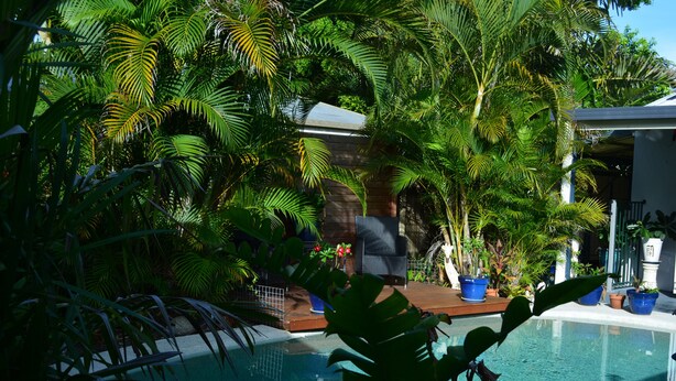 Ein Pool, umgeben von üppiger tropischer Vegetation, einer Holzterrasse und einem Gebäude mit geneigtem Dach.