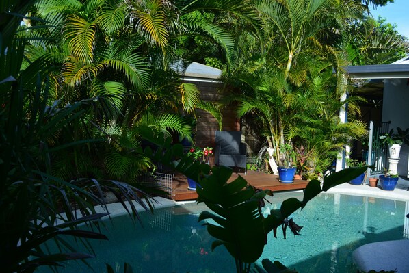 Outdoor pool, a heated pool