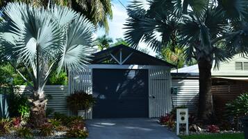 A garage with a metal roof, surrounded by various plants and a pathway leading to it.