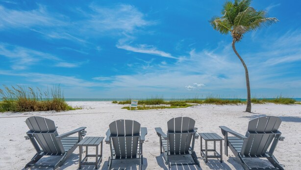 Ein Strand mit vier Adirondack-Stühlen und einer Palme.