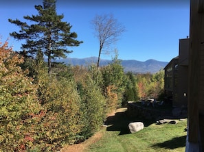 A mountainous landscape with a clear sky, a large pine tree, and a building with a stone foundation.