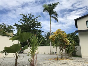 Parcheggio non assistito gratuito