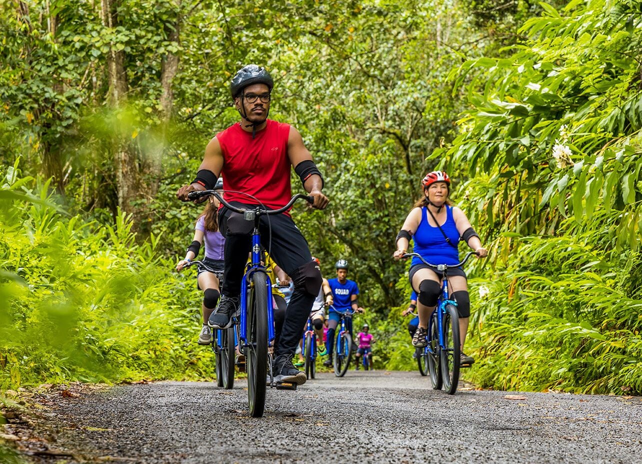 Un gruppo di ciclisti su un sentiero sterrato, circondati da vegetazione lussureggiante.