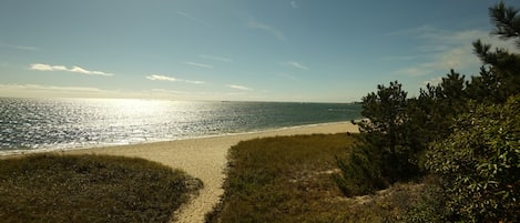 Vlak bij het strand, ligstoelen aan het strand, strandlakens