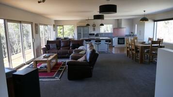 TV connectée, cheminée, lecteur de DVD, livres