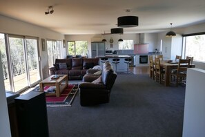 Smart TV, fireplace, DVD player, books