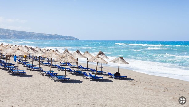 Una playa con filas de sillas azules y sombrillas de paja.