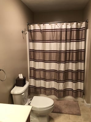 Combined shower/bathtub, jetted bath, hair dryer, towels