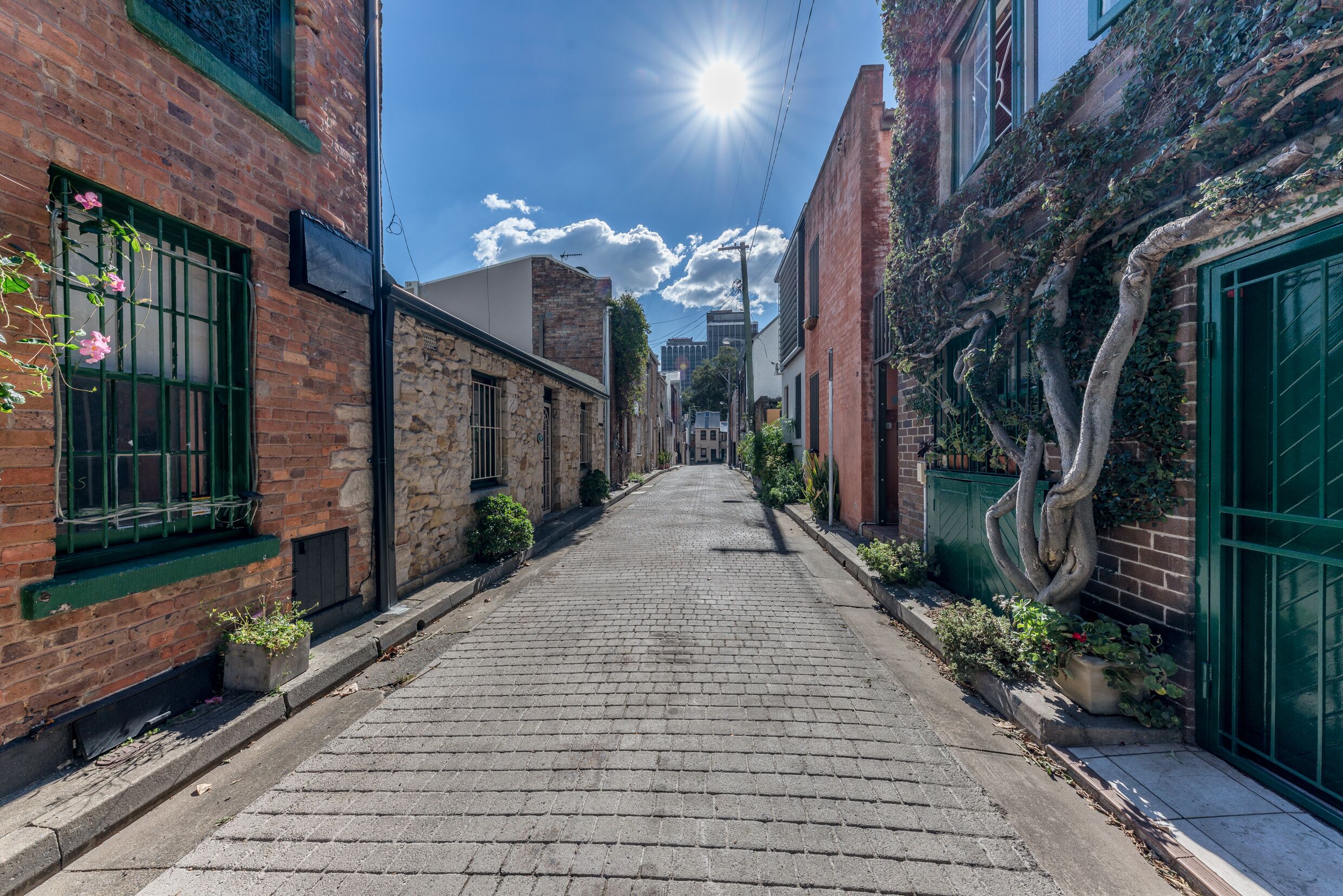 Designer house in quiet street on city doorstep — image 24