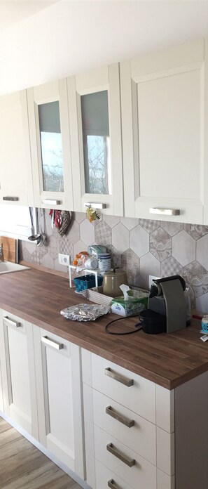 Kühlschrank, Ofen, Herdplatte, Geschirrspüler