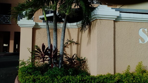 A building facade with a large 'S' sign, palm trees, and well-maintained landscaping. - Habitacion moderna y acogedora de Azur (Kingston)