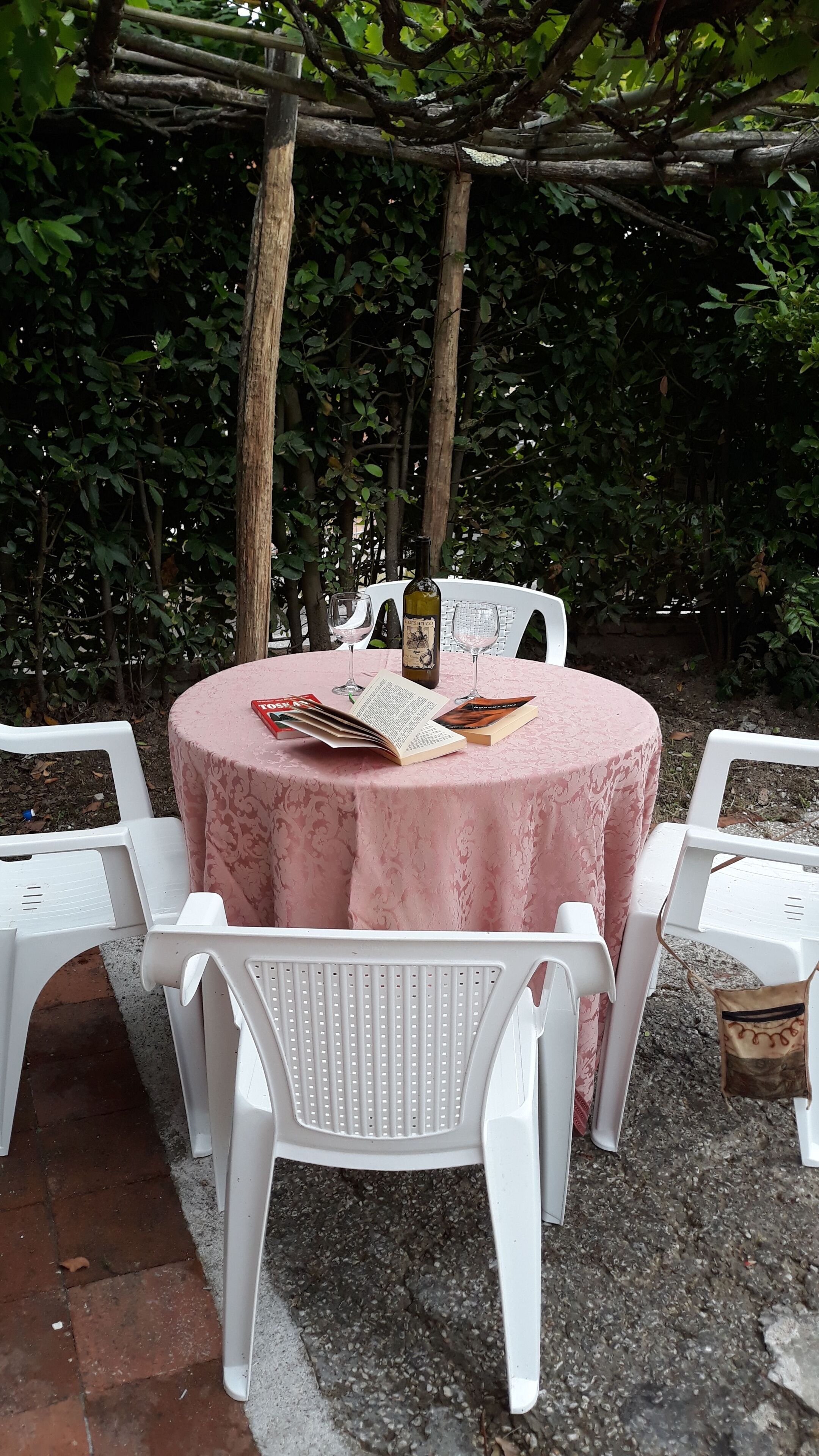 Une table d’extérieur, recouverte d’une nappe rose, avec deux chaises, une bouteille et un livre.