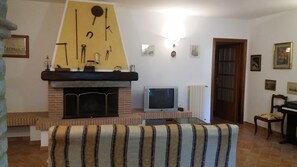 TV, fireplace, books