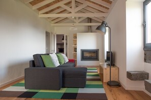 Télévision, cheminée, livres