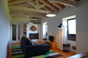 Télévision, cheminée, livres