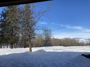 View from room
