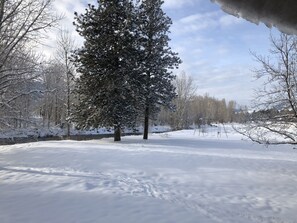 A snowy landscape with a large evergreen tree in the center, surrounded by leafless trees and a clear sky.