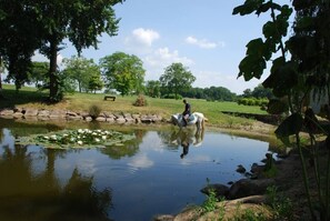 Property grounds - Mansion - Pécy (Pécy)