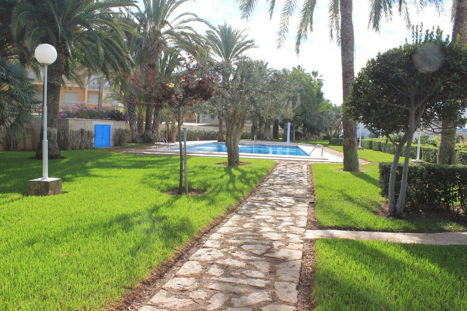 A stone pathway leading to a swimming pool surrounded by lush greenery and palm trees.