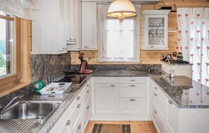 Réfrigérateur, micro-ondes, plaque de cuisson, lave-vaisselle