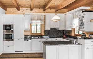 Fridge, stovetop, dishwasher, coffee/tea maker