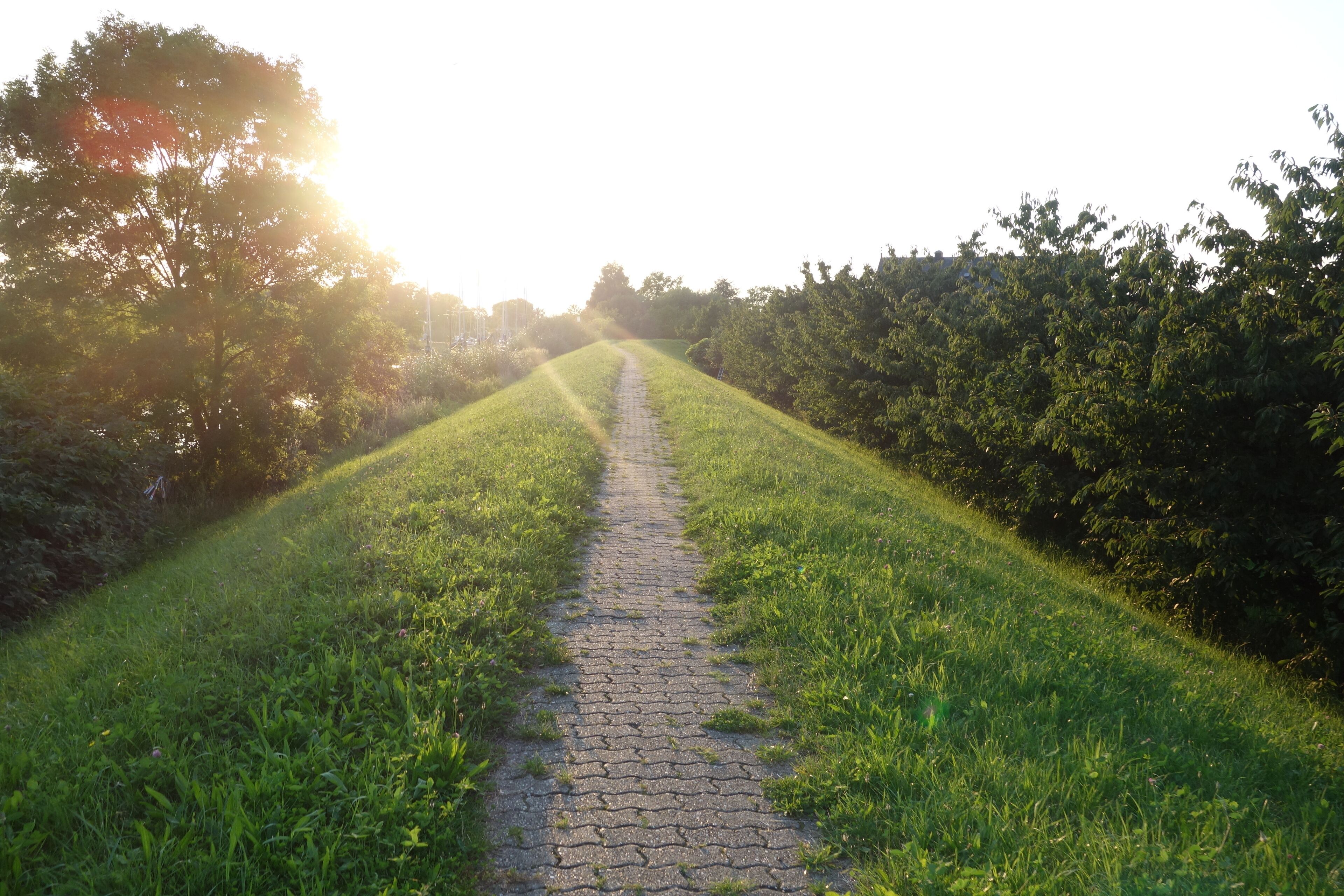 A paved pathway flanked by lush green grass and trees, leading towards the horizon.