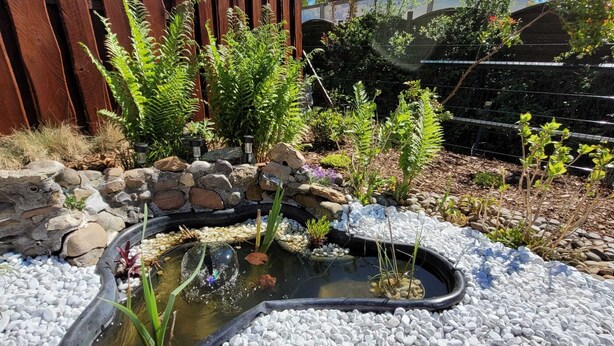 Ein Garten mit Teich, umgeben von Steinen und Pflanzen.