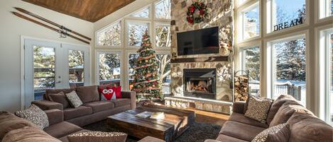 Téléviseur connecté, foyer, lecteur de DVD, sélection de films