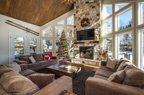 Smart TV, fireplace, DVD player, video library