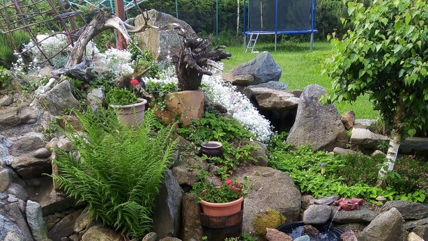 Un jardín con un estanque, rocas y plantas en macetas.