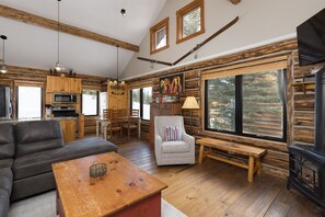 Smart TV, chimenea, libros