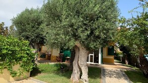 A tree-lined pathway leading to a building with a door and windows. - Situada dentro de um condomínio fechado de luxo, com a praia a 3 minutos a pé (Porto Santo)