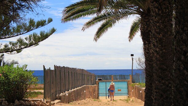 A beach view with a wooden fence, a palm tree, and a person in a swimsuit. - Situada dentro de um condomínio fechado de luxo, com a praia a 3 minutos a pé (Porto Santo)
