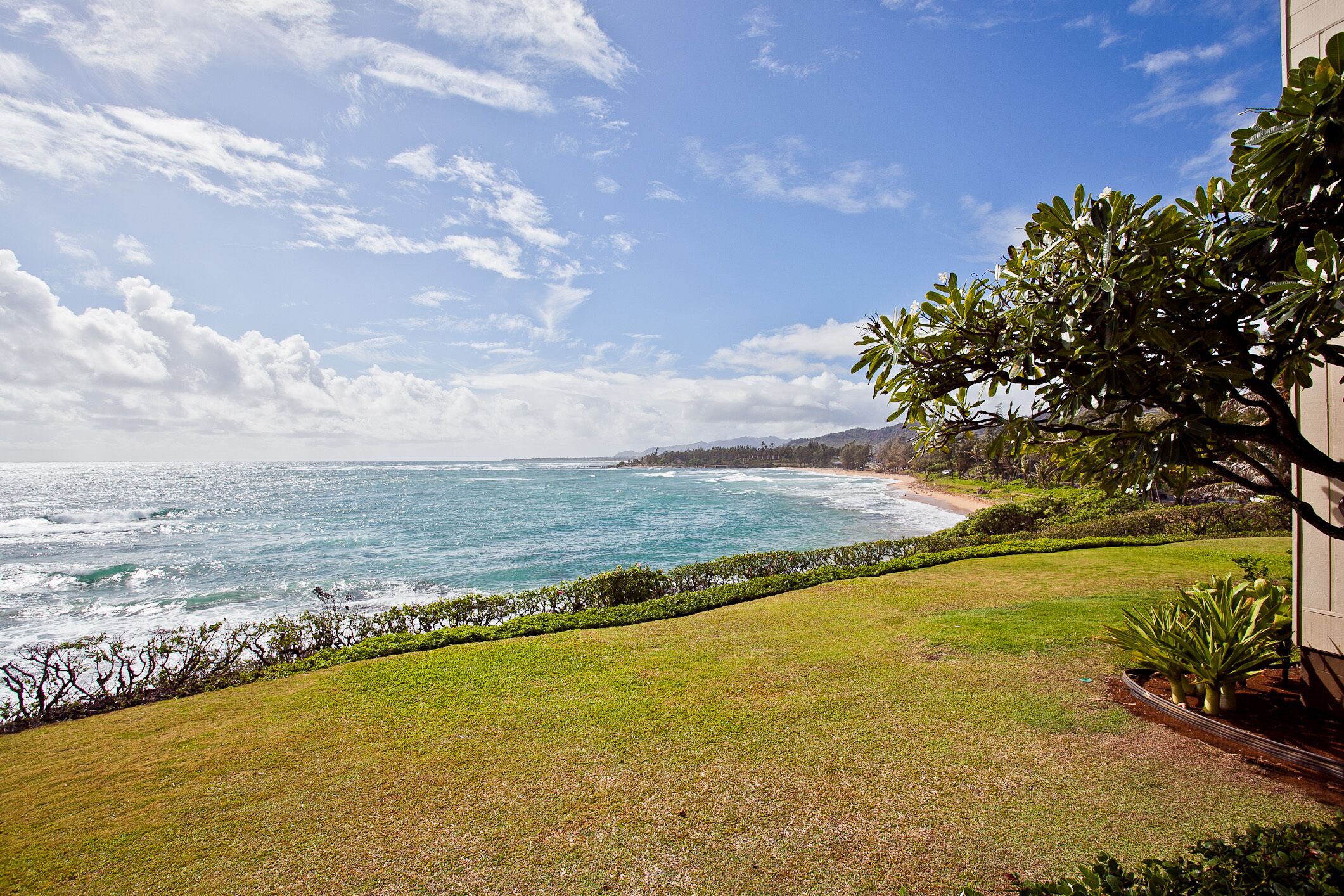 Une vue sur la côte, avec une zone herbeuse, une plage et l’océan.