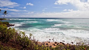 A coastal view with waves, a clear sky, and some vegetation. - H-G-T-V type Renovation, Million Dollar view starting at only $210/night! (Kapaa)